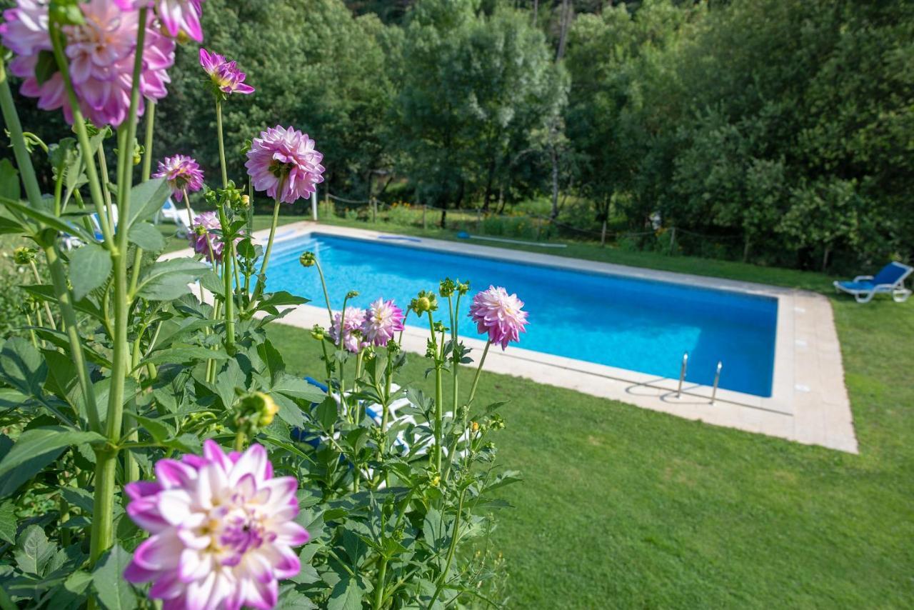 Quinta Da Rabacosa - Turismo Rural Castro Daire Exterior photo