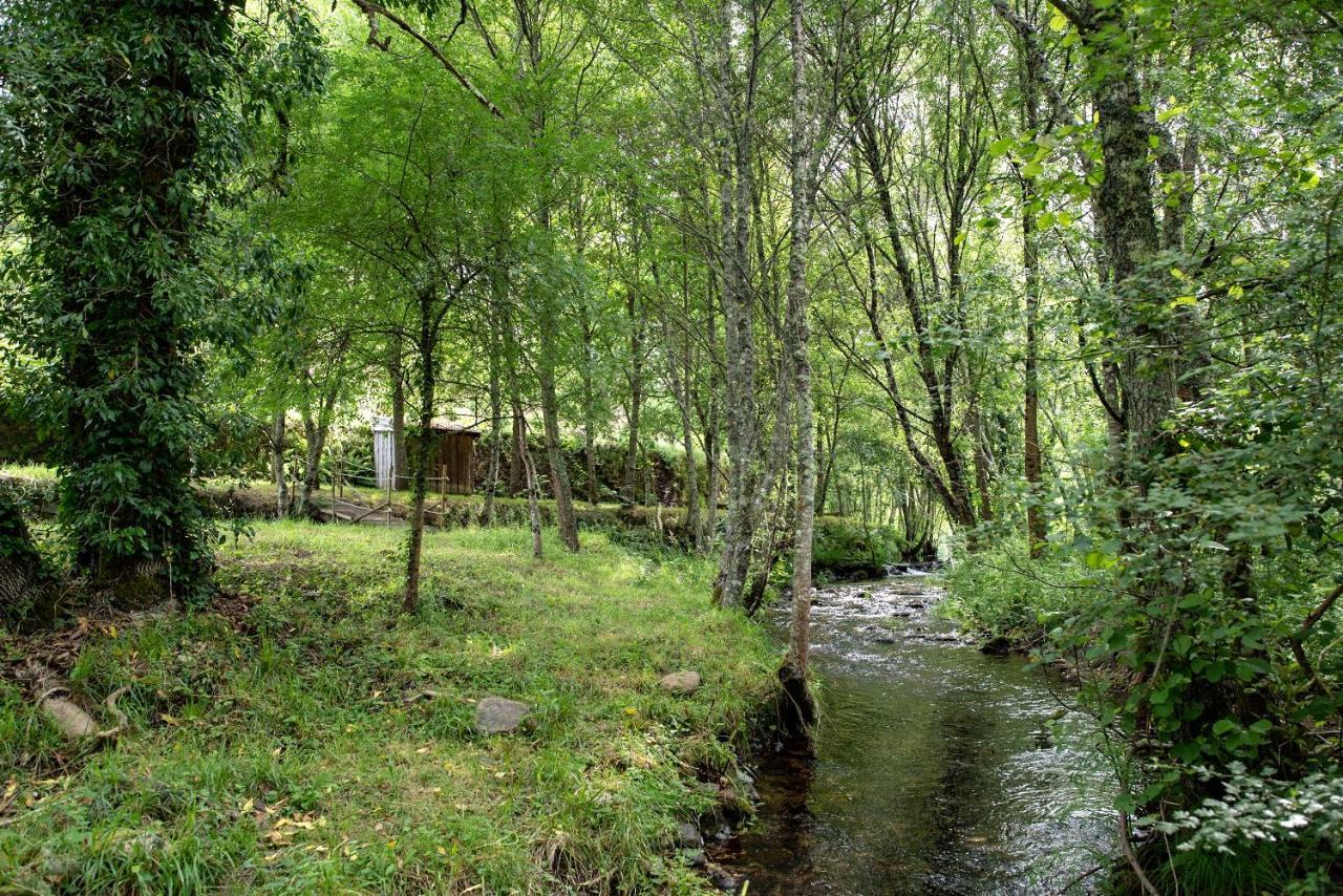 Quinta Da Rabacosa - Turismo Rural Castro Daire Exterior photo