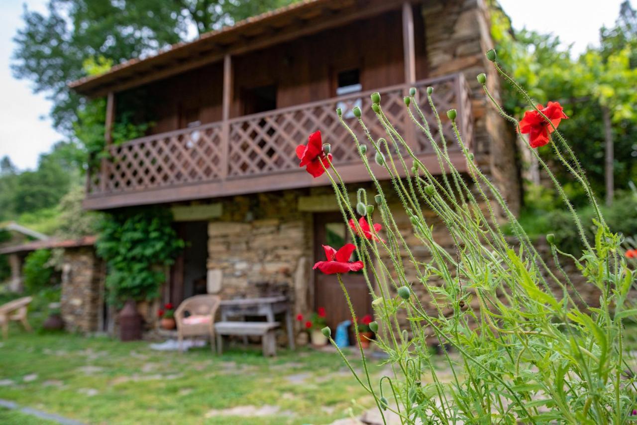 Quinta Da Rabacosa - Turismo Rural Castro Daire Exterior photo
